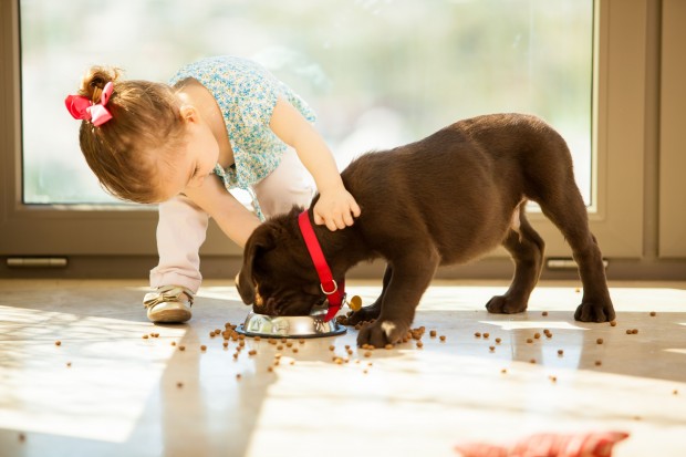 Foto: Bigstock