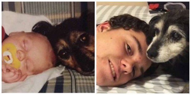 20 fotos emocionantes de pessoas que cresceram junto com seus cães