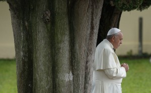 Contemplação, dom e significado: chave de leitura da encíclica Laudato Si’ Créditos: Paul Haring/CNS photo