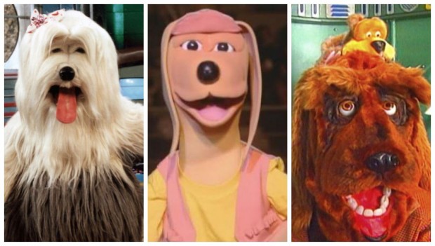 A tevê feita só por cachorros: relembre a TV Colosso!