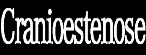 Craniostenose – o que é isso?