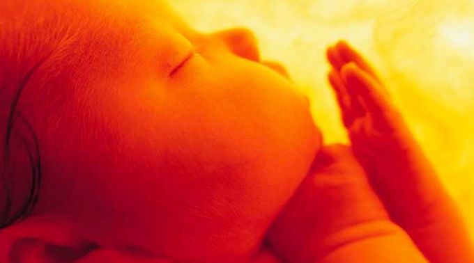 Por que a liberação do aborto avança enquanto o homeschooling encontra resistência? Por que a liberação do aborto avança enquanto o homeschooling encontra resistência?