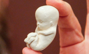 Audiência sobre aborto: STF barrou réplicas de bebês no mesmo lugar onde se retém armas Bruno Covello/Gazeta do Povo