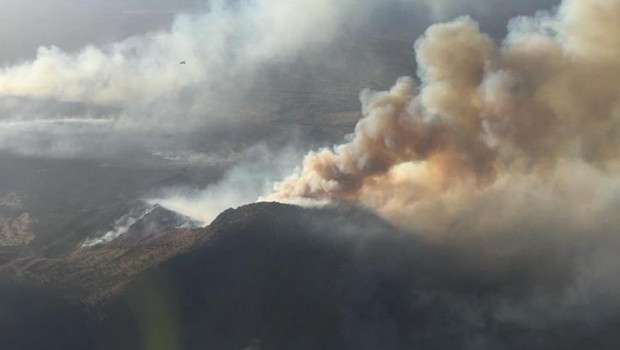 Incêndio causado por Dickey. Foto: Divulgação/Arizona Department of Forestry and Fire Management